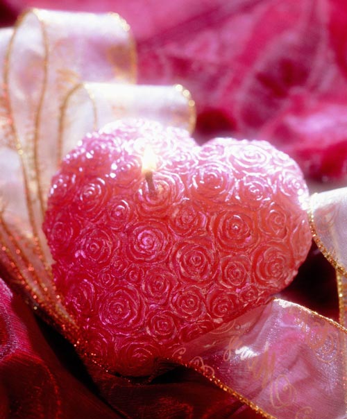 Tcȼ˹һ